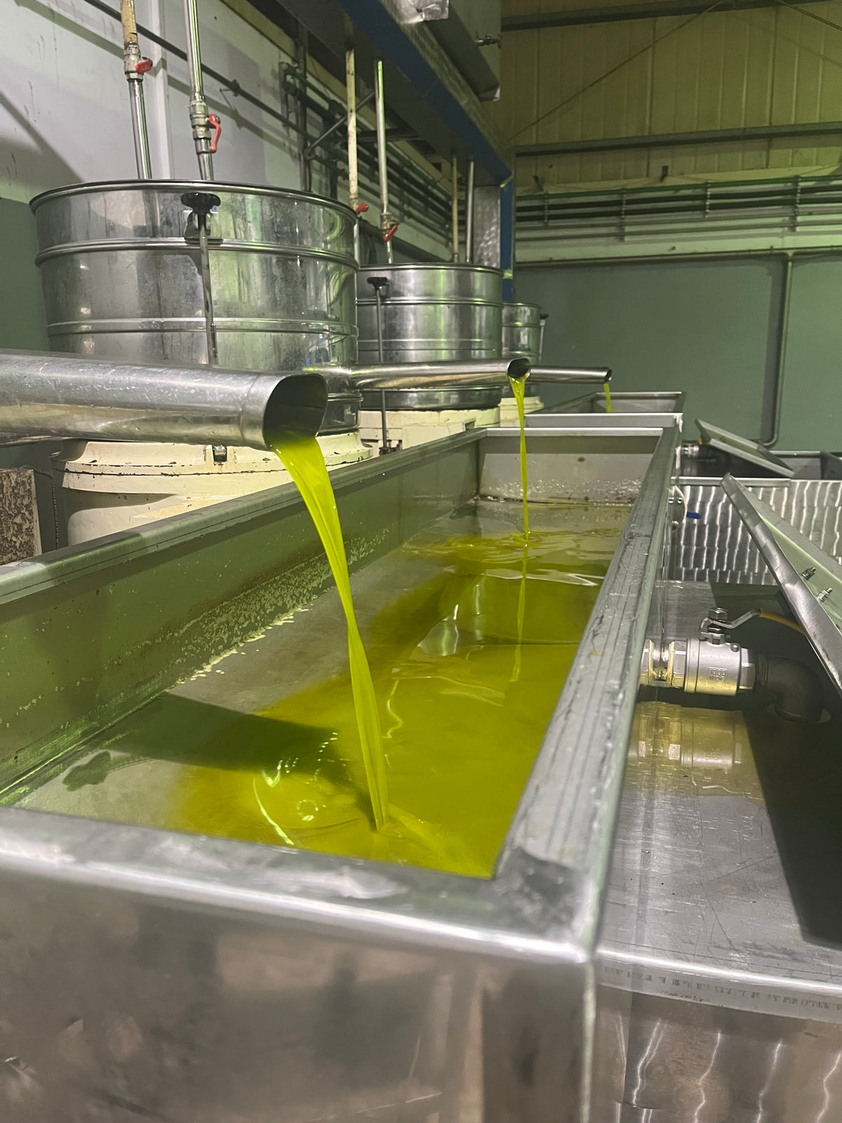 Photo of Extra Virgin Olive Oil being produced at Cretan Olive Mill
