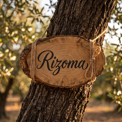 'Rizoma' 1 Year Adoption Plan | Olivine